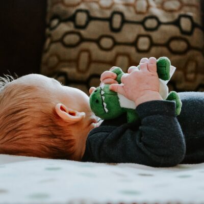 Plush Toys
